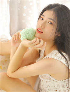 数码大师2008