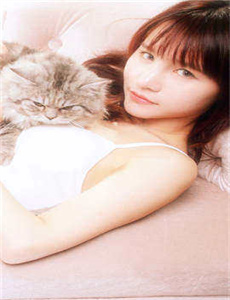 电影合法婚姻