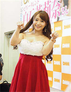 新乌龙女校