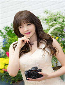新杨门女将电视剧1