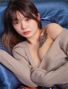 密使电视剧全集